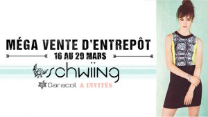 Schwiing_vignette-S16_flyer_top_crop