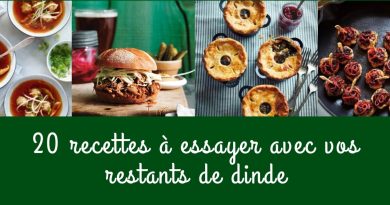 20 recettes à essayer avec vos restants de dinde 20 recettes à essayer avec vos restants de dinde
